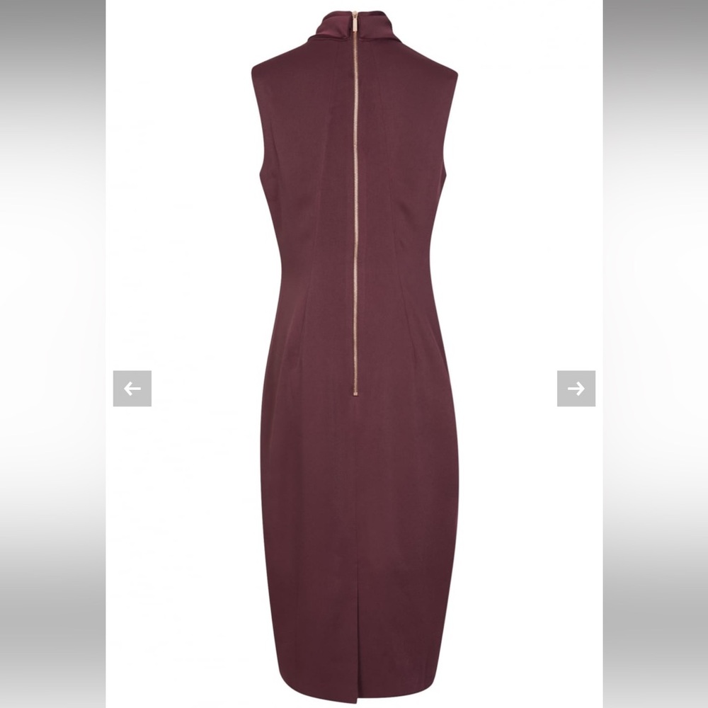 Ted Baker Dress - Picture 3 of 3
